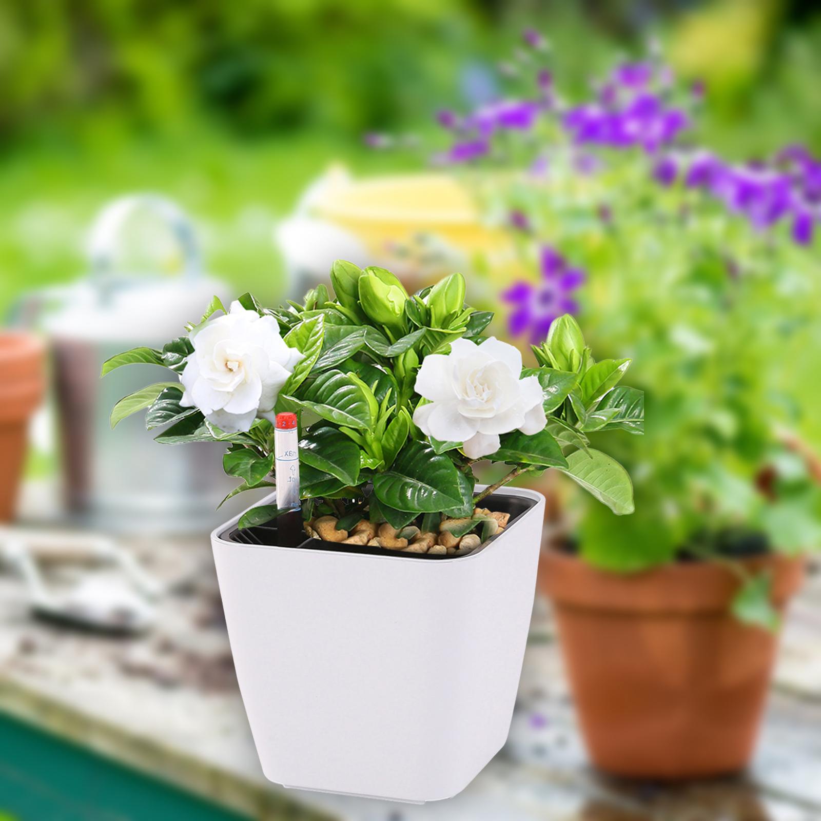 

Самополивающийся цветочный горшок с индикатором уровня воды для комнатных и уличных растений, прочный белый