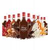10x FALA Glass Bottles 500ml with CHRISTMAS PRINT As a Gift for Liqueurs