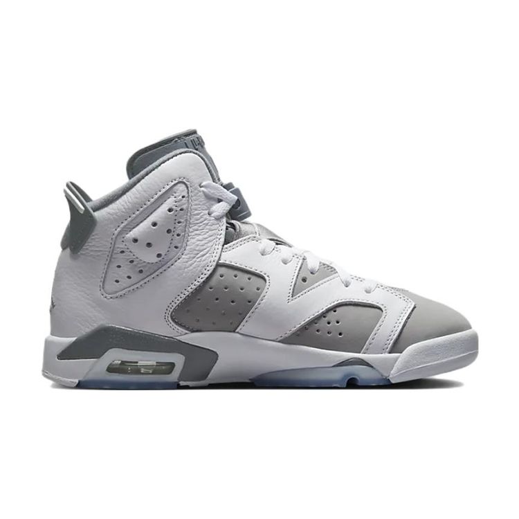 Air Jordan 6 Retro GS Cool Grey Dětské tenisky Bílá Středně šedá 384665-100