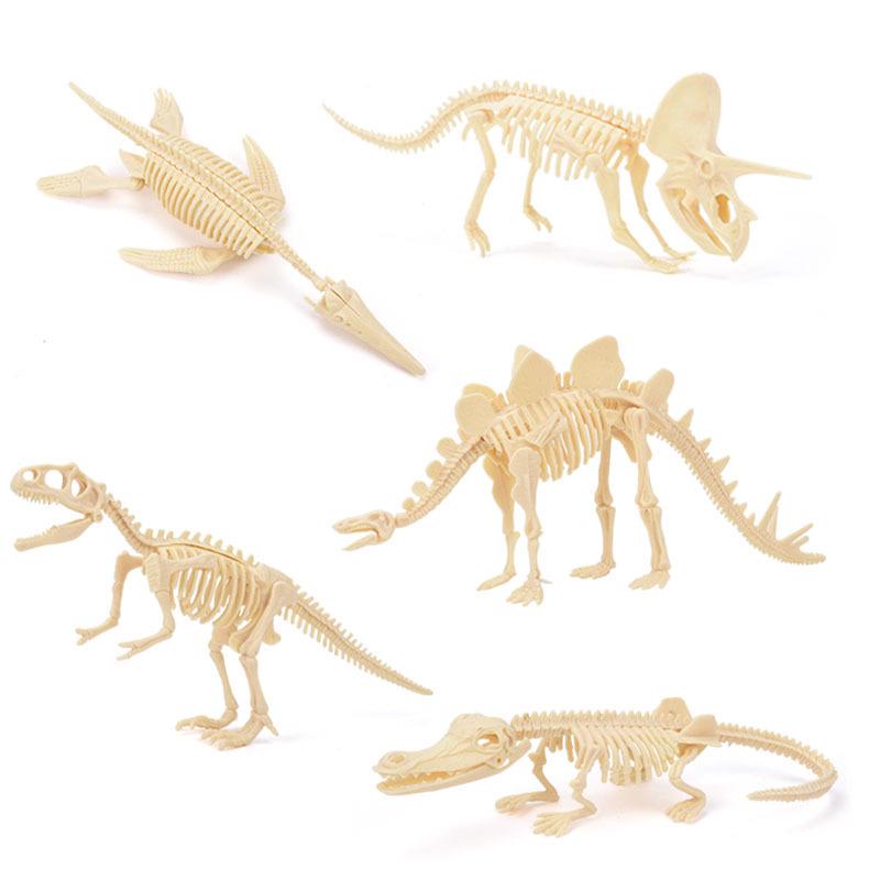 DIY Dinosaur Fossil Excavation Toy: Tyrannosaurus & Triceratops Skeleton Models for Kids