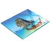 Kitchen Multifunctional Decorative Glass Board Beach Thailand 60X52 Cm