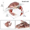 Marine Life Animal Simulation Toy Set: Squid, Crab, Starfish, Tuna