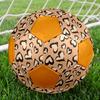 Futebol – Bolas de futebol