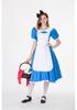 Halloween Alice In Wonderland Maid Cosplay Costume