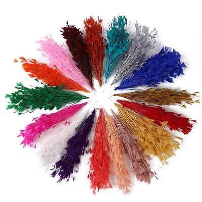 Aparatos de costura y tejido – Plumas