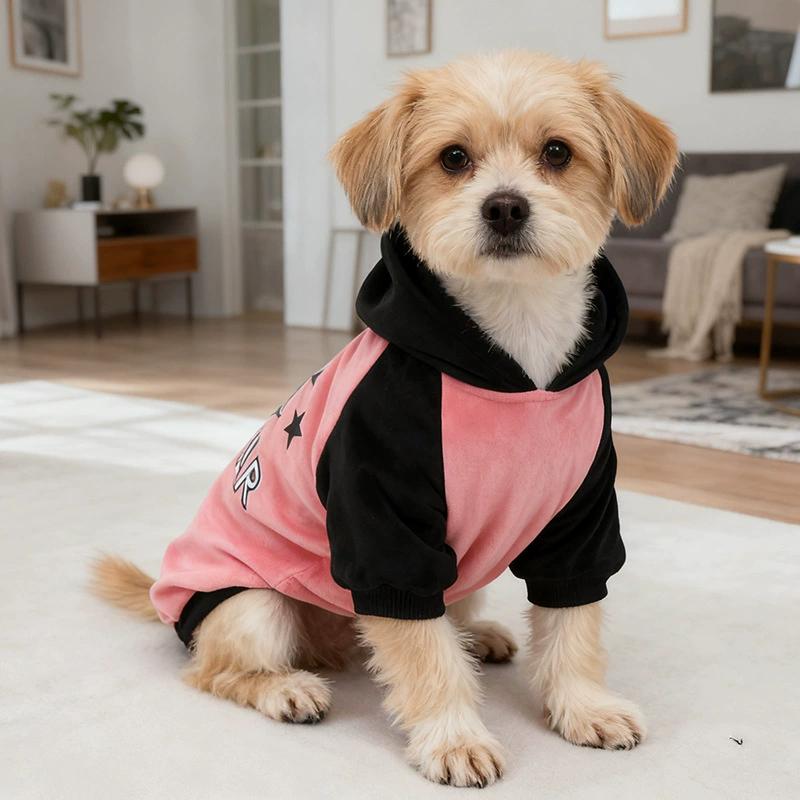 Arctic Velvet Pet Clothes Double-sided Wear Silver Fox Velvet Thickened Thermal Sweater Puppy Dog Clothing Pet Clothing