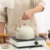 2.5L Electric Tourist Gas Stove Kettle With Whistle Stainless Steel Kitchen Home-appliance Camping Teapot Cookware Cooking Set