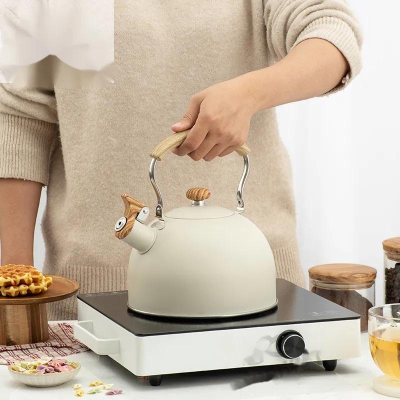 2.5L Electric Tourist Gas Stove Kettle With Whistle Stainless Steel Kitchen Home-appliance Camping Teapot Cookware Cooking Set