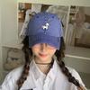 Spring And Summer Blue Plaid Baseball Cap Female Embroidered Pony Cap Face Pony Baseball Cap