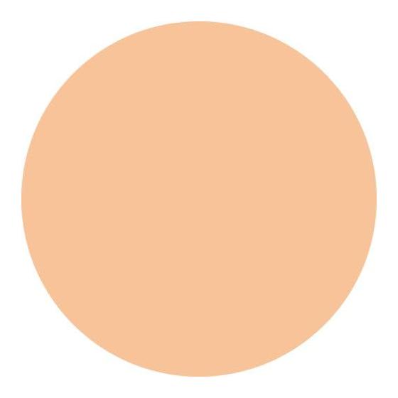 Ex Beaute Air Lasting Powder (Refill) #Natural 11g