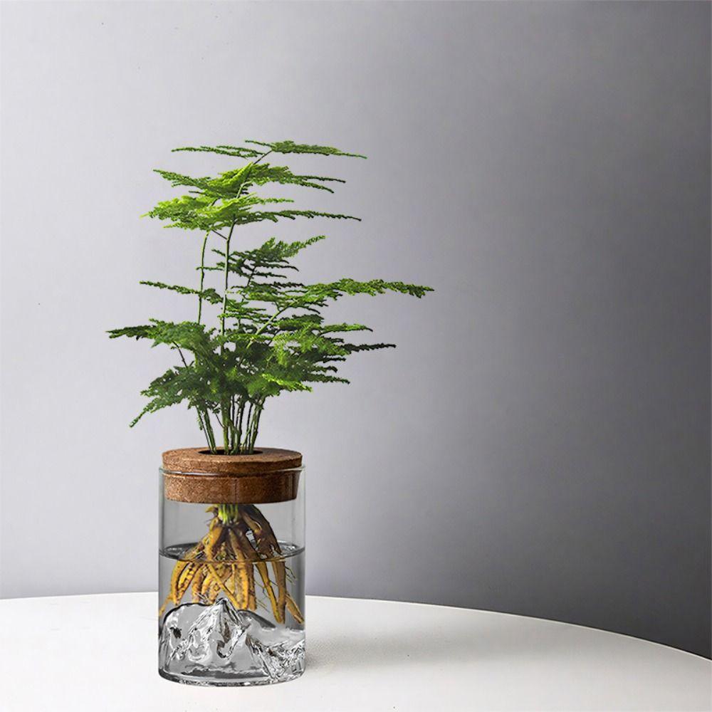 

Transparent Flower Vase Glass Mountain Viewing Bottle Hydroponic Flower Holder Home S прозорий