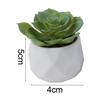Artificial Succulents Decorative Flower Pot Easy Maintenance