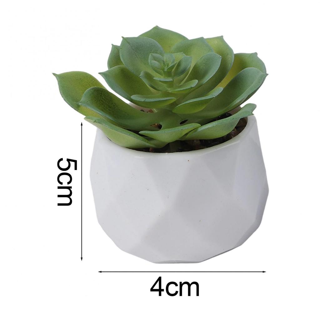 Artificial Succulents Decorative Flower Pot Easy Maintenance