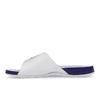 Air Jordan Jordan Hydro 5 Retro Slide Grape 2025 Men Sneakers White New-Emerald Grape-Ice 555501-103