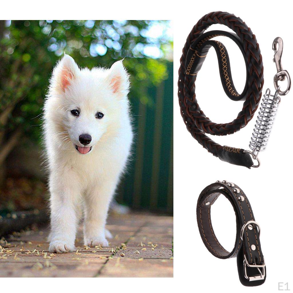 Pet Walking Training Dogs Leashes Medium Puppy Black,Brown