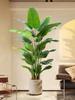 High-End Bionic Bird of Paradise: Luxury Indoor Decorative Plant for Living Room