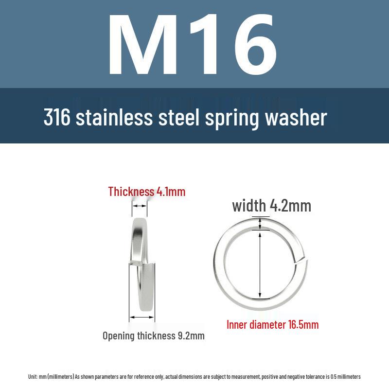 316 Stainless Steel M4-M16 Lock & Flat Spring Washers