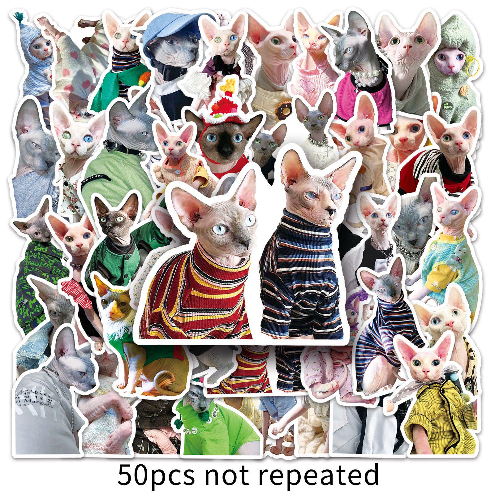 50-Piece Sphinx Cat Graffiti Sticker Set: Waterproof Decor for Phones & Suitcases