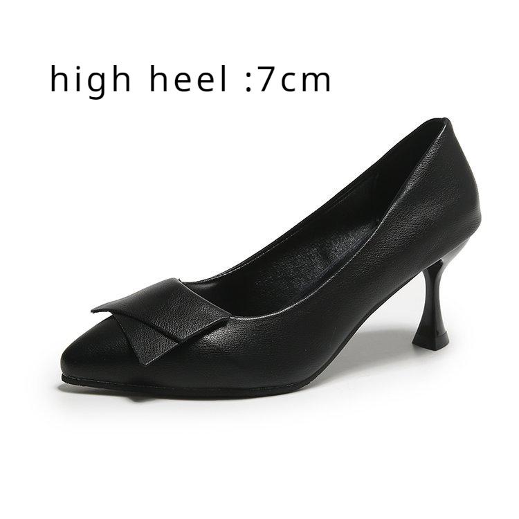 High Heels Women's Spring and Autumn Pointed Toe Pumps Stiletto Heels Black Professional Work Women's Shoes