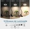 Lampe de Bureau - NOBRAND - Flexible 360° - 3 Modes d'Éclairage - 10 Niveaux de Luminosité - Noir