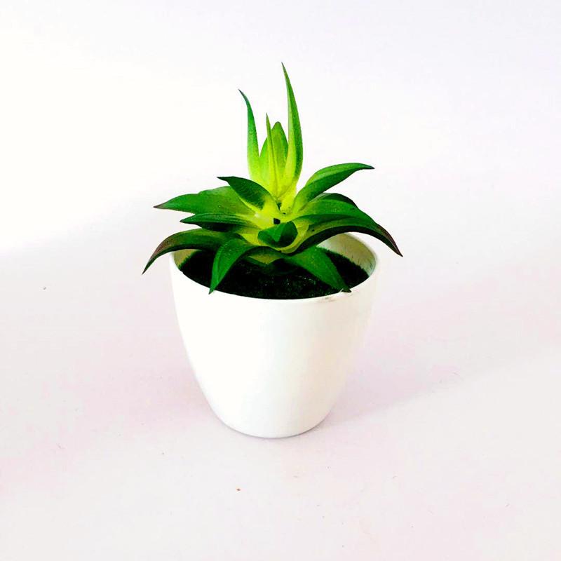 

Faux Succulent Pvc Plant With Creative Design For Living Room And Projects Diy