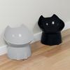 Elevated Pet Feeder for Cats & Dogs - Neck-Friendly, Anti-Tip Slanted Bowl for Food and Water