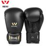 Jiu Ri Shan Professional Boxing Gloves & Hand Wraps