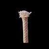 Cadeauverpakking – Paktouw