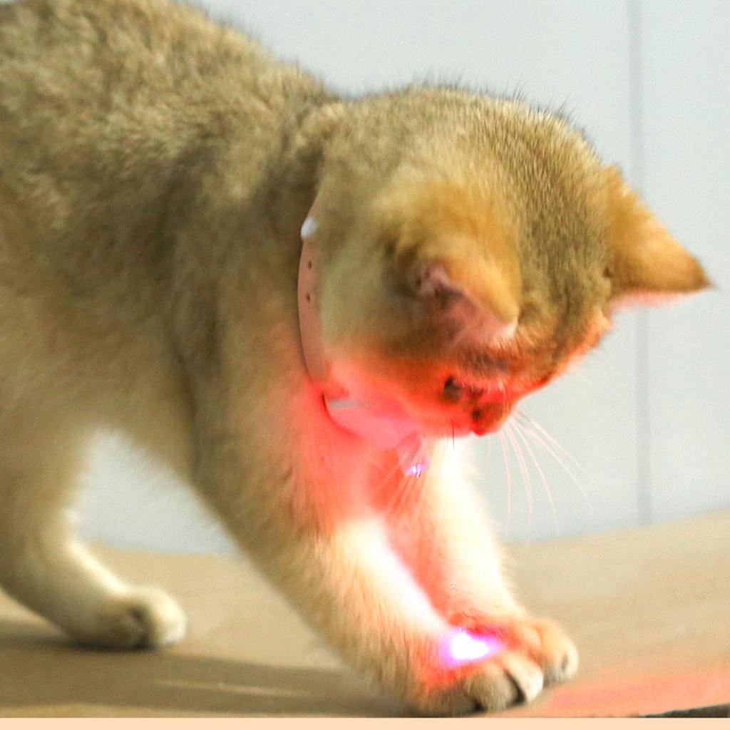LED Cat Neck Collar Glowing In The Dark Smart Cat Pointer Collar Dog Interactive Electronic Collars Pet Supplies
