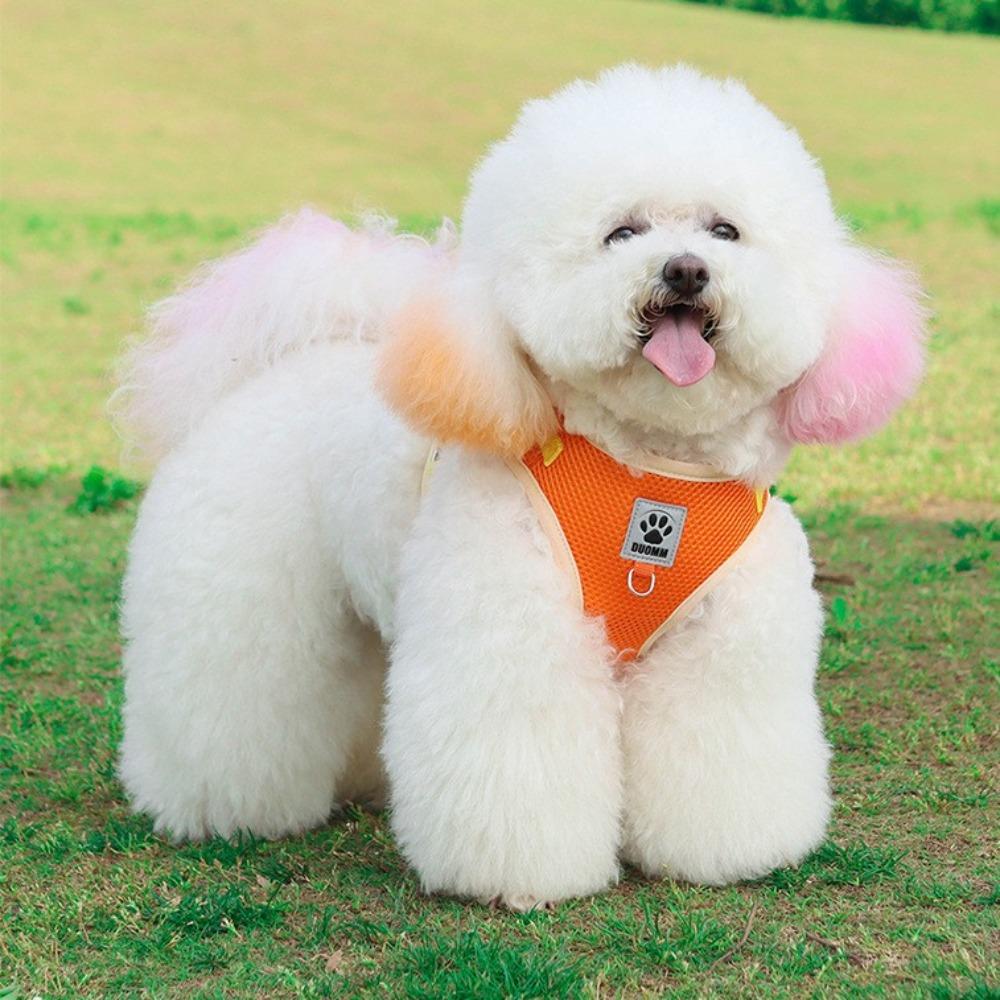 Pet Chest Back Breathable and Comfortable Color Matching Cat Chest Back Traction Walking Dog Dog Lead Puppy Vest Type