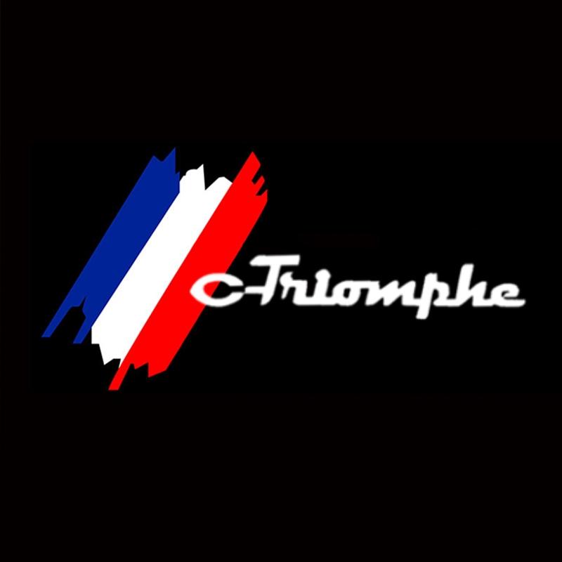 

Car Door Welcome Logo Light Plug & Play HD Projection No Modification Auto Sensor Door Light for Citroen C-Triomphe 2006-2010