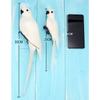 25/35cm Handmade Simulation Parrot Feather Ornament Garden Bird Prop Decoration