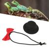 Reptile Hat and Bow Tie Cute     Valentine s Day Clothes Set for Bearded Dragon Hamster Guinea  (Black Hat Red Bow Tie S)