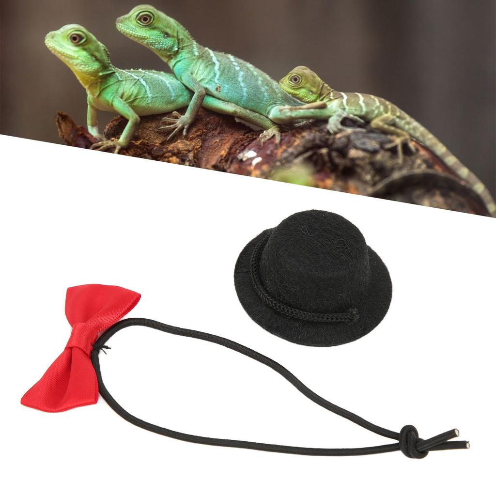 Reptile Hat and Bow Tie Cute Valentine s Day Clothes Set for Bearded Dragon Hamster Guinea (Black Hat Red Bow Tie S)