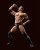 S.H.Figuarts WWE The Rock (approx. 160mm tall) PVC & ABS articulated figure
