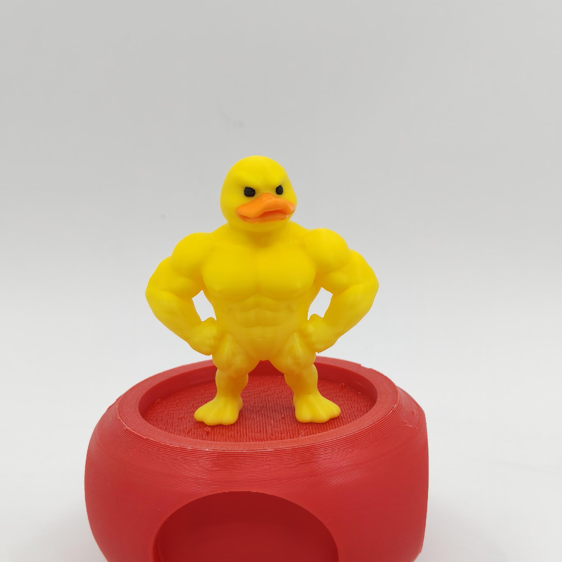 

Экологически чистая 3D-печатная пародия на мускулиного утенка