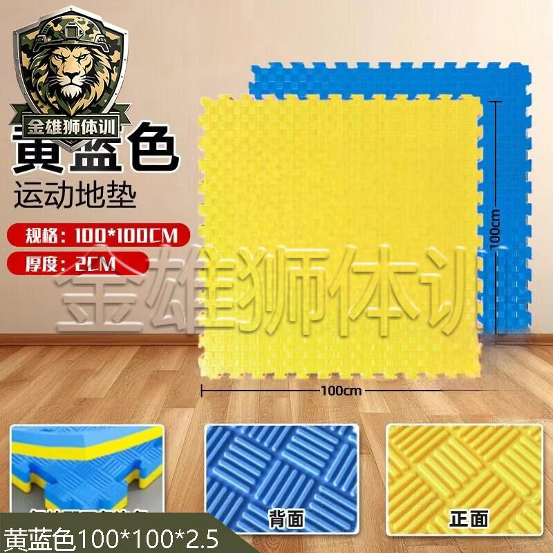 Jin Xiong Shi Professional Interlocking Training Mat
