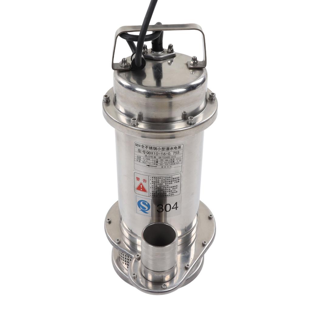 Tauchpumpe Edelstahl Hauswasserwerk Elektrisch Korrosionsbeständig Meerwasserpumpe 750W 220V