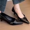 Women's Thin Heel Shoes Spring New Pointed Head Shallow Mouth Metal Buckle Anti-slip Wear-resistant Low-top Shoes