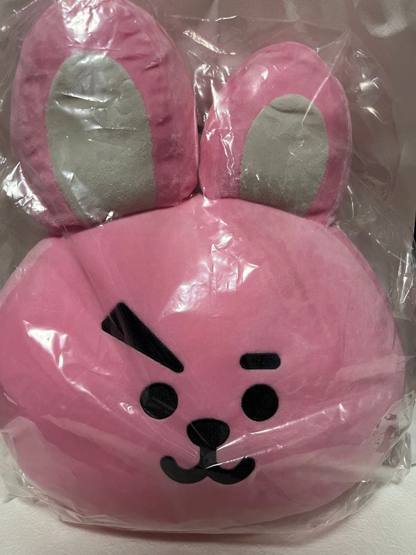

[USED] BT21 cooky plush cushion
