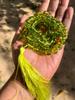 8 mm Rnd 108+1 Guru Beads Original Peridot Jaap Rosary, Japa Mala Energized, Yoga Prayer Healing Meditation, August Birthstone, Green Mala