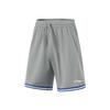 Li-Ning Professional Basketball Series Striped Pullover Round Neck Vest Sports Casual Simple Shorts Basketball Set Men Sets Ultimate-Gray AATV001-9