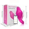 Silicone Wearable Powerful Vibrator,  Female Clitoral G-Spot Stimulation Masturbator,  Couples Adult Sex Toys, Sexy Sex Toys 18+