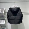 White Duck Down Jacket Men's Winter New Fashion Workwear Handsome Warm Jacket Thickened Loose Top