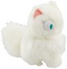 Sun Arrow White Cat Lily S K8665