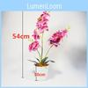 Phalaenopsis Faux Flower With Realistic Pvc Construction For Living Room Decoration