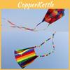 Colorful Parafoil Kite With Long 200cm Tails And 30m Flying Line For Outdoor Fun