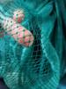 Polyethylene Fishing Net Mesh Sheet for Enclosures, Cages, and Aquaculture Ponds