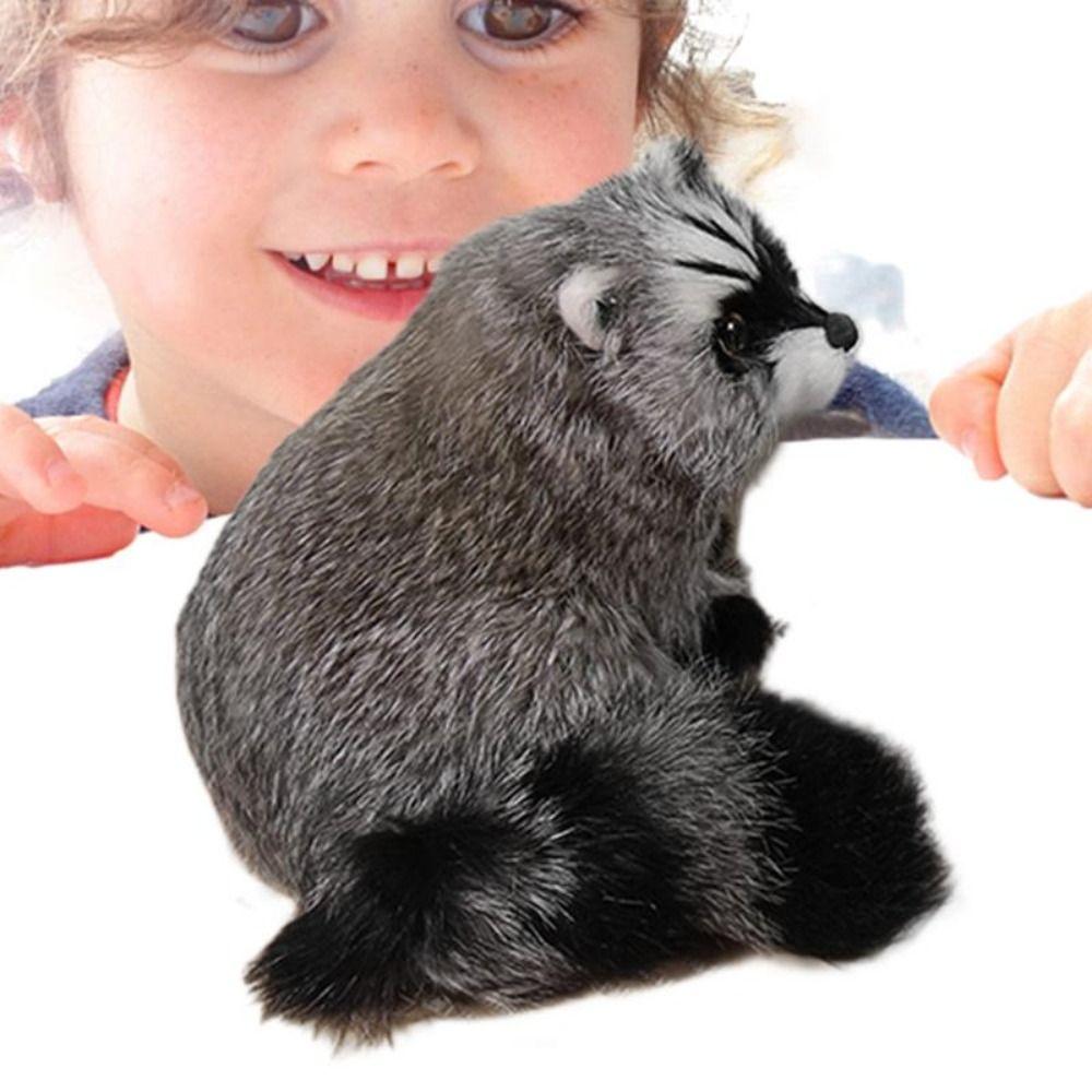 Animal Model Simulation Raccoon Model Realistic Simulation 3D Raccoon Raccoon Figure  Photo Props
