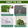 5 Automatic Watering Devices for Plants, Plastic Watering Balls with Automatic Watering Spikes, Cute Shaped Decorations